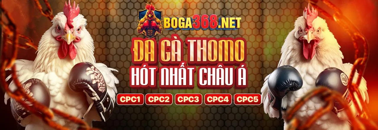 Đá gà trực tuyến kịch tính tại Shbet800
